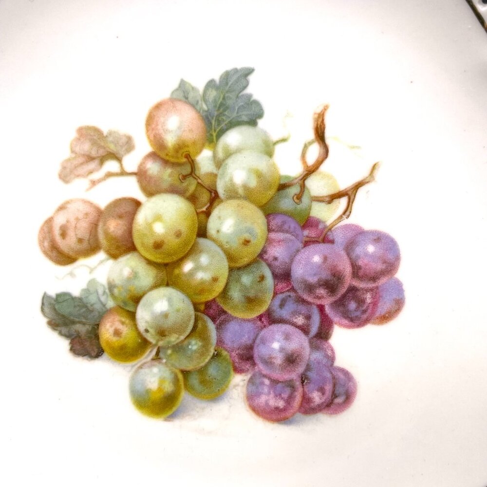 Set of 6 Schumann Arzberg Germany Pierced Porcelain Plates Harvest Fruit 7" - Picture 12 of 16